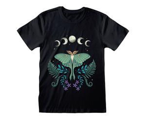 Something Different Men's Luna Moth T-Shirt in Black | Size: 2XL Something Different Black 2XL