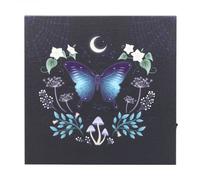 Something Different Midnight Moth Light Up Canvas Multicoloured (One Size)