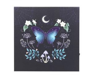 Something Different Midnight Moth Light Up Canvas Multicoloured (One Size)