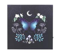 Something Different Midnight Moth Light Up Canvas Something Different Multicolor