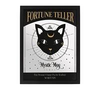 Something Different - Mystic Mog - Mirrored Wall Hanging Cat Decor