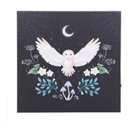 Something Different Night Owl Light Up Canvas Something Different Multicolor