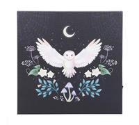 Midnight Moth Light Up Canvas Plaque