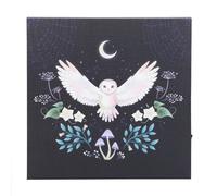 Something Different Night Owl Light Up Canvas Something Different Multicolor