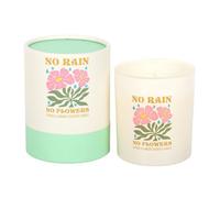 Something Different No Rain, No Flowers Citrus & Ginger Scented Candle Light Pink (One Size)