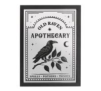 Something Different Old Raven Apothecary Mirrored Wall Art in Black Something Different Black
