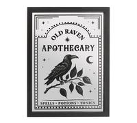 Something Different Old Raven Apothecary Mirrored Wall ArtOne Size Black/White
