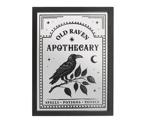 Something Different Old Raven Apothecary Mirrored Wall ArtOne Size Black/White