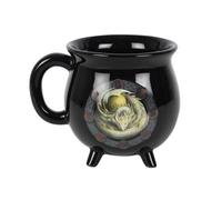 Something Different Ostara Colour Changing Cauldron Mug By Anne Stokes