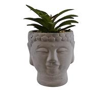 Something Different Plant Pot with Succulent | Buddha Head | H15cm X W7cm X D8cm | pack of 12