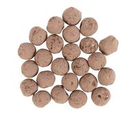 Something Different Plants Flower Seeds (Pack of 24) in Light Sand Something Different Light Sand