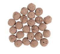 Something Different Plants Flower Seeds (Pack Of 24) Sand (One Size)