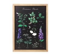 Something Different Poisonous Plants Framed Wall Art Something Different Multicolor