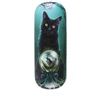 Something Different Rise Of The Witches Glasses Case By Lisa Parker