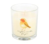 Something Different Robin Remembrance Cranberry & Clove Robin Scented Candle in Clear Something Different Clear