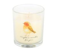 Something Different Robin Remembrance Cranberry & Clove Robin Scented Candle Transparent (One Size)