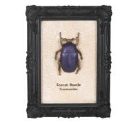 Something Different Scarab Framed Wall Art (One Size) (Black)