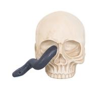 Something Different Skull & Snake Ornament in White Something Different White