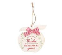 Something Different Thanks For Helping Me Grow Apple Hanging Decoration Red/white (One Size)