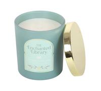 Something Different The Enchanted Library Leather, Patchouli & Amber Candle in Light Blue Something Different Light Blue