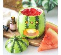 Something Different Watermelon Oil Burner And Wax Warmer