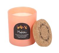 Something Different Wheel Of The Year Apple Mabon Candle in Orange Something Different Orange