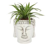 Something Different White Terracotta Buddha Head Planter, White