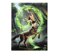Something Different Wholesale Earth Element Magic Centaur Mounted MDF Gothic Canvas Wall Art by Anne Stokes