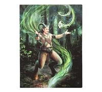 Something Different Wholesale Earth Element Wizard: Gothic Canvas Wall Art by Anne Stokes, Mounted MDF, Stunning Gothic Pictures