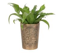 Something Different Wholesale LisaParker Tree of Life Mystical Terracotta Plant Pot - Spiritual Symbol Bronze Planter for Growth and Rebirth, Antiqued Bronze Effect Pot