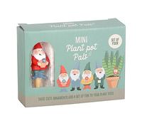 Something Different Wholesale Mini Gnome Plant Pot Pals Set of 4 with Witch's Hat - Wicked Witch Chip and Dip Party Dish - Crisps Holder