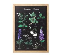 B&Q Framed Wall Art Print – Poisonous Plants, Gothic Botanical, Wooden Frame