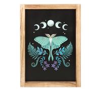 Something Different Wholesale Stunning Wall Art: Luna Moth Design - Add Enchantment and Mystery - Perfect Statement Piece