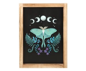 Something Different Wooden Luna Moth Framed PosterOne Size Black/Purple/Green S
