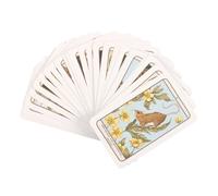 Something Different Woodland Wardens Oracle Cards Something Different Multicolor