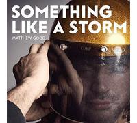Something Like A Storm [VINYL]