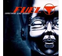 Something Like Human