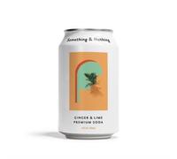 Something & Nothing Ginger & Lime Premium Soda 330ml