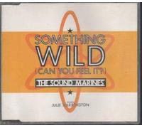 Something Wild - Can You Feel It (UK CD Single - 1990)