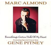 Something's Gotten Hold Of My Heart By Marc Almond ,Gene Pitney (0001-01-01)
