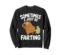 Sometimes I Just Be Farting Funny Quote Sweatshirt