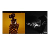 Sometimes I Might Be Introvert & Grey Area