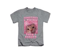 Sometimes I Think and Then I Forget cat Meme Novelty cat Joke Funny Animal Tee T-Shirt Funny Unisex T Shirt Top Heather Grey