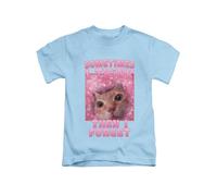 Sometimes I Think and Then I Forget cat Meme Novelty cat Joke Funny Animal Tee T-Shirt Funny Unisex T Shirt Top Sky Blue