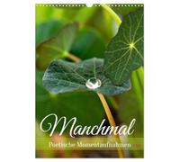 Sometimes - Poetic snapshots UK-Version (Wall Calendar 2026 DIN A3 Portrait), CALVENDO 12 Month Wall Calendar