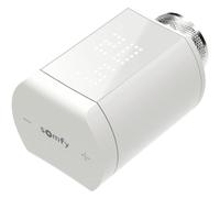 Somfy Wireless Thermostat for Smart Home IO-Compatible Easy Install