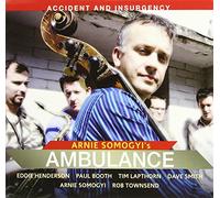 Somogyi, Arnie - Accident And Insurgency