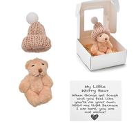 SOMUSICTY Worry Bear in a Box,A Little Pocket Bear Hug,Mini Worry Bears with Inspirational Card,Handmade Mini Plush Teddy Bears in Box,Bears Doll,Positive Gifts for Kids,Friends