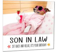 Son in Law Birthday Card Funny Dog at a Spa Relaxing - Funny Birthday Cards for Son in Law