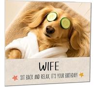 Son in Law Birthday Card - Funny Relaxed blonde long haired dachshund Birthday Cards for Son in Law